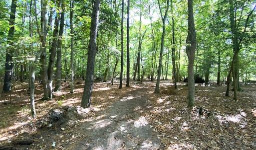 Photo #22 of SOLD property in Off Cattail Road, Mears, VA 112.0 acres
