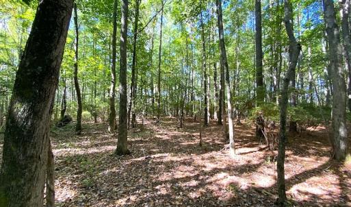 Photo #28 of SOLD property in Off Cattail Road, Mears, VA 112.0 acres