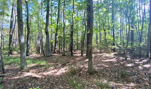 Photo #31 of SOLD property in Off Cattail Road, Mears, VA 112.0 acres