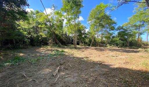 Photo #34 of SOLD property in Off Cattail Road, Mears, VA 112.0 acres