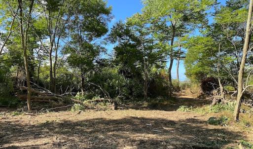 Photo #35 of SOLD property in Off Cattail Road, Mears, VA 112.0 acres