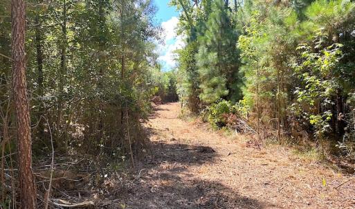 Photo #36 of SOLD property in Off Cattail Road, Mears, VA 112.0 acres