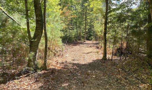 Photo #37 of SOLD property in Off Cattail Road, Mears, VA 112.0 acres