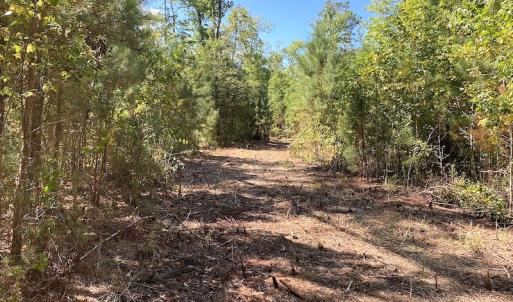 Photo #38 of SOLD property in Off Cattail Road, Mears, VA 112.0 acres