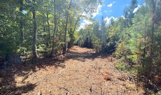Photo #39 of SOLD property in Off Cattail Road, Mears, VA 112.0 acres