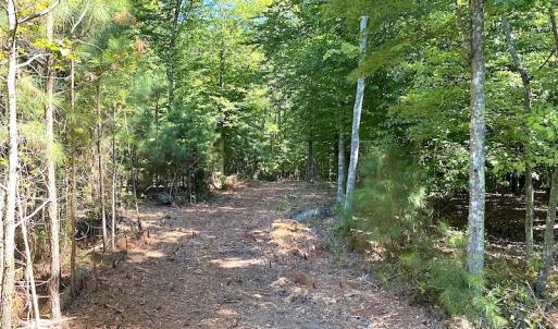 Photo #40 of SOLD property in Off Cattail Road, Mears, VA 112.0 acres