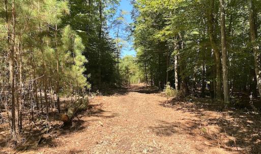 Photo #41 of SOLD property in Off Cattail Road, Mears, VA 112.0 acres