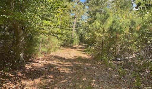 Photo #43 of SOLD property in Off Cattail Road, Mears, VA 112.0 acres