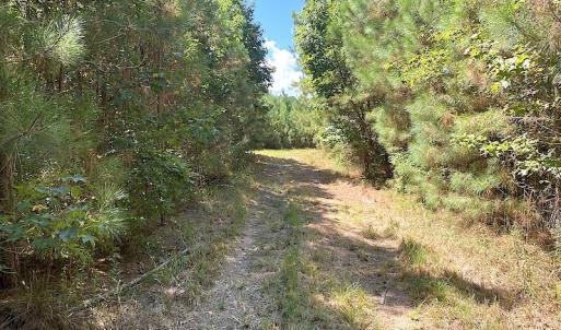 Photo #44 of SOLD property in Off Cattail Road, Mears, VA 112.0 acres