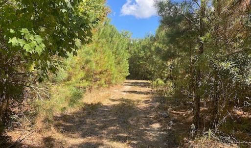 Photo #45 of SOLD property in Off Cattail Road, Mears, VA 112.0 acres
