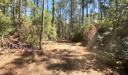 Photo #46 of SOLD property in Off Cattail Road, Mears, VA 112.0 acres