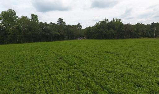Photo #2 of SOLD property in Off Swamp Fox Hwy E, Tabor City, NC 14.3 acres