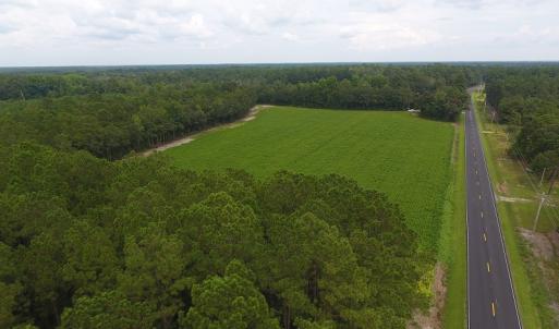 Photo #3 of SOLD property in Off Swamp Fox Hwy E, Tabor City, NC 14.3 acres