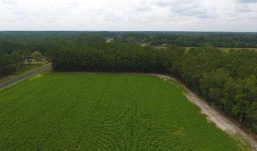 Photo #4 of SOLD property in Off Swamp Fox Hwy E, Tabor City, NC 14.3 acres