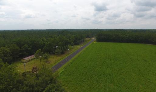 Photo #5 of SOLD property in Off Swamp Fox Hwy E, Tabor City, NC 14.3 acres