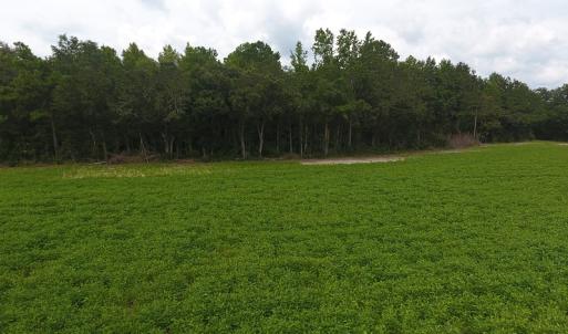 Photo #6 of SOLD property in Off Swamp Fox Hwy E, Tabor City, NC 14.3 acres