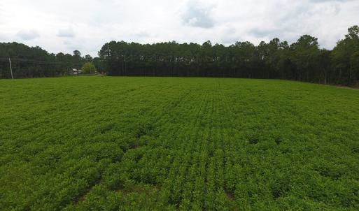 Photo #7 of SOLD property in Off Swamp Fox Hwy E, Tabor City, NC 14.3 acres