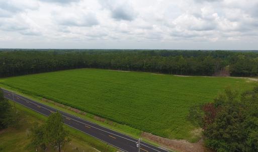 Photo #8 of SOLD property in Off Swamp Fox Hwy E, Tabor City, NC 14.3 acres