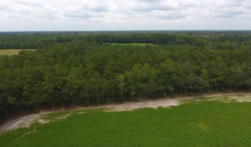 Photo #9 of SOLD property in Off Swamp Fox Hwy E, Tabor City, NC 14.3 acres