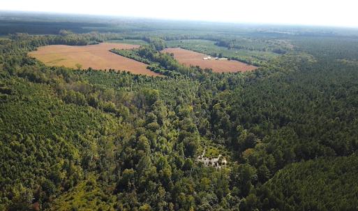 Photo #2 of SOLD property in Off White Oak Drive, Spring Grove, VA 102.0 acres