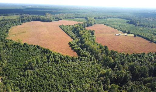 Photo #3 of SOLD property in Off White Oak Drive, Spring Grove, VA 102.0 acres