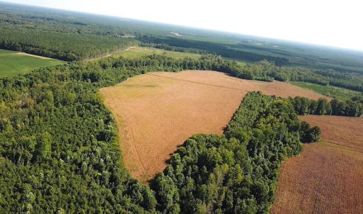 Photo #4 of SOLD property in Off White Oak Drive, Spring Grove, VA 102.0 acres