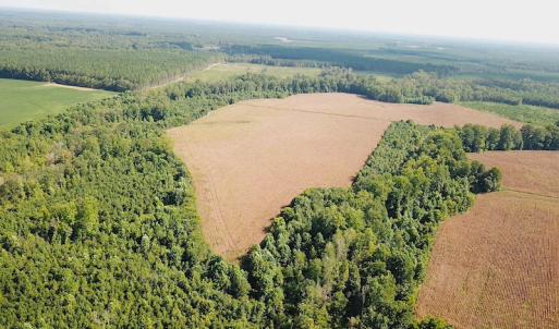 Photo #5 of SOLD property in Off White Oak Drive, Spring Grove, VA 102.0 acres