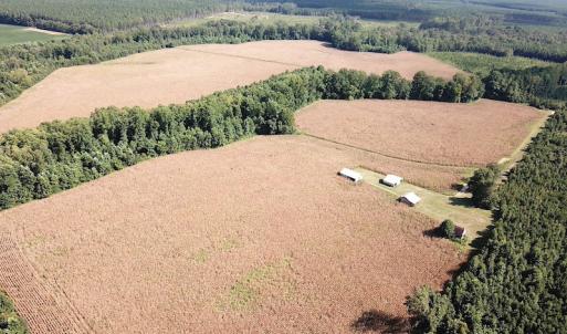 Photo #6 of SOLD property in Off White Oak Drive, Spring Grove, VA 102.0 acres
