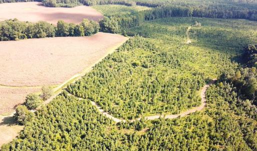 Photo #7 of SOLD property in Off White Oak Drive, Spring Grove, VA 102.0 acres