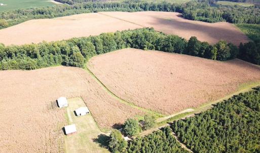 Photo #8 of SOLD property in Off White Oak Drive, Spring Grove, VA 102.0 acres