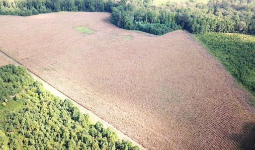 Photo #9 of SOLD property in Off White Oak Drive, Spring Grove, VA 102.0 acres