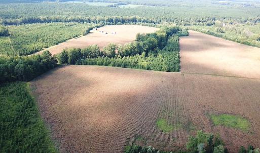 Photo #11 of SOLD property in Off White Oak Drive, Spring Grove, VA 102.0 acres