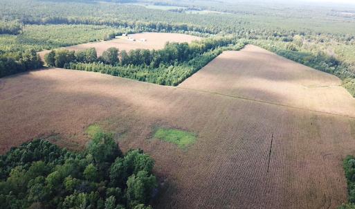 Photo #12 of SOLD property in Off White Oak Drive, Spring Grove, VA 102.0 acres