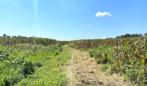 Photo #13 of SOLD property in Off White Oak Drive, Spring Grove, VA 102.0 acres