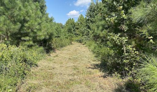 Photo #14 of SOLD property in Off White Oak Drive, Spring Grove, VA 102.0 acres