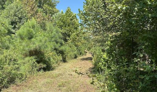 Photo #15 of SOLD property in Off White Oak Drive, Spring Grove, VA 102.0 acres