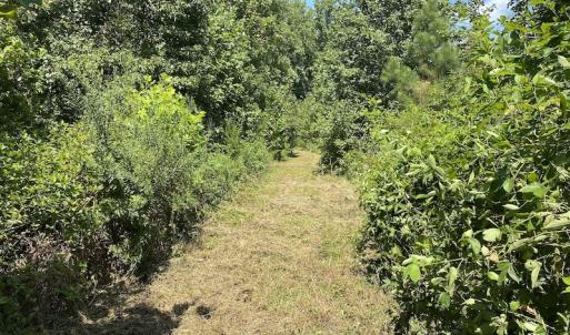 Photo #16 of SOLD property in Off White Oak Drive, Spring Grove, VA 102.0 acres