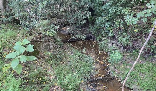 Photo #17 of SOLD property in Off White Oak Drive, Spring Grove, VA 102.0 acres