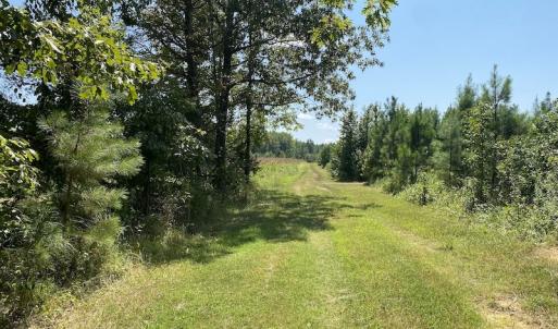 Photo #23 of SOLD property in Off White Oak Drive, Spring Grove, VA 102.0 acres