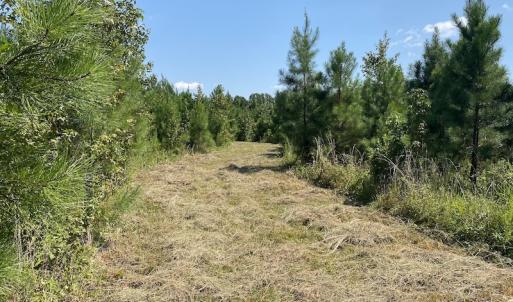 Photo #24 of SOLD property in Off White Oak Drive, Spring Grove, VA 102.0 acres