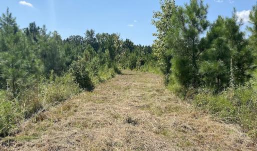 Photo #26 of SOLD property in Off White Oak Drive, Spring Grove, VA 102.0 acres