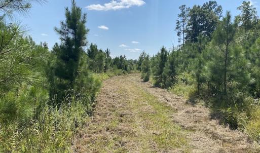 Photo #27 of SOLD property in Off White Oak Drive, Spring Grove, VA 102.0 acres