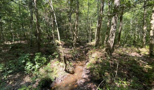 Photo #29 of SOLD property in Off White Oak Drive, Spring Grove, VA 102.0 acres