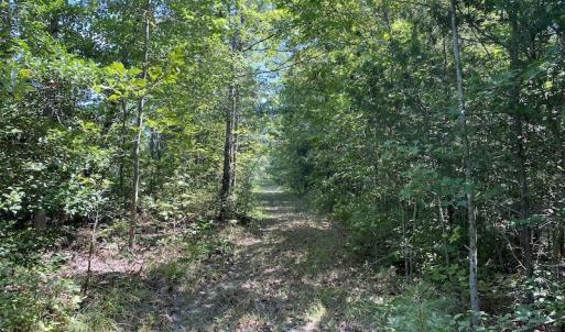 Photo #30 of SOLD property in Off White Oak Drive, Spring Grove, VA 102.0 acres