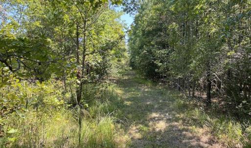 Photo #31 of SOLD property in Off White Oak Drive, Spring Grove, VA 102.0 acres