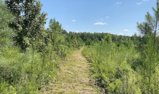 Photo #32 of SOLD property in Off White Oak Drive, Spring Grove, VA 102.0 acres