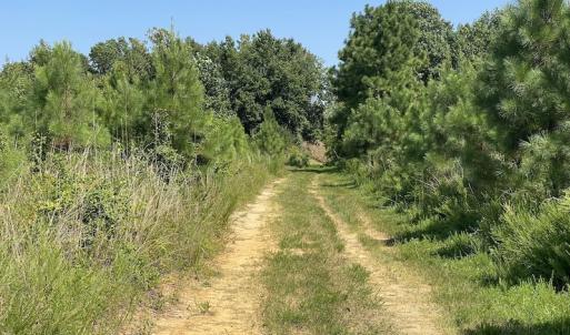 Photo #33 of SOLD property in Off White Oak Drive, Spring Grove, VA 102.0 acres