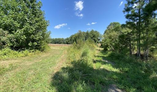 Photo #34 of SOLD property in Off White Oak Drive, Spring Grove, VA 102.0 acres