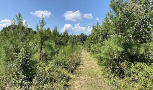 Photo #35 of SOLD property in Off White Oak Drive, Spring Grove, VA 102.0 acres