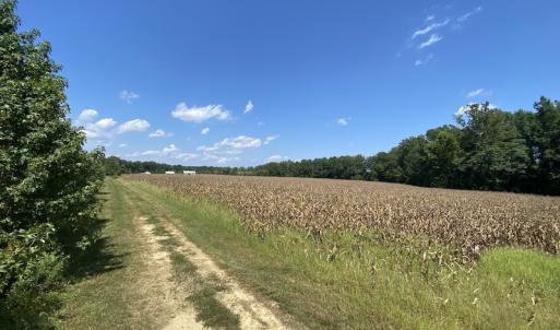 Photo #36 of SOLD property in Off White Oak Drive, Spring Grove, VA 102.0 acres